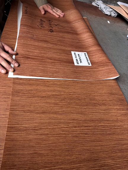 WhatsApp Image 2026-04-17 at 09.58.59