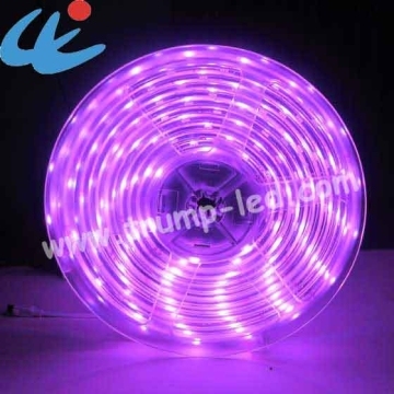 SMD 5050 Top Quality CE Waterproof LED Strips Light