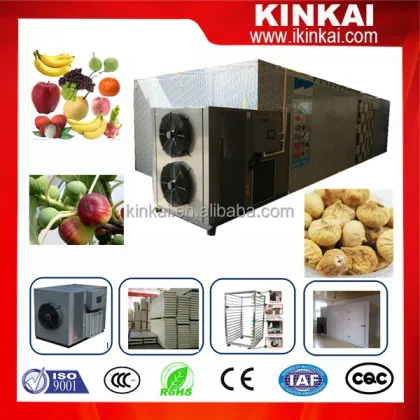 Hot Air System Dryers: Areca Nut, Betel Nut, and Fruit Drying Ovens