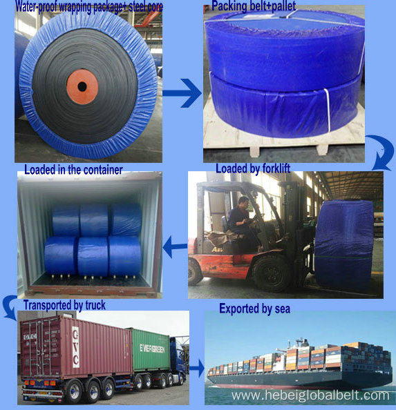 waterproof carrier plastic PE roller belt conveyor idler