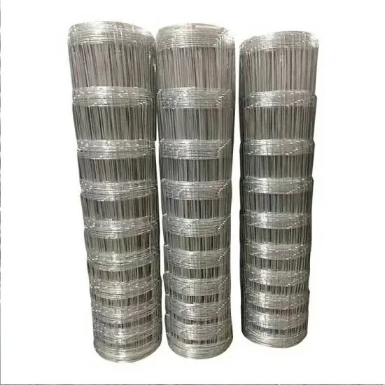 China Galvanized Wire Mesh for Grassland Fence/Animal Fence (Diameter 1.8cm-2.5cm)