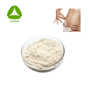 Pukal Putih Putih Ginjal Extract Faseolin 1% Powder