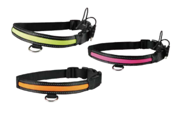 USB Flash Dog Collar/Dog Flash Collar