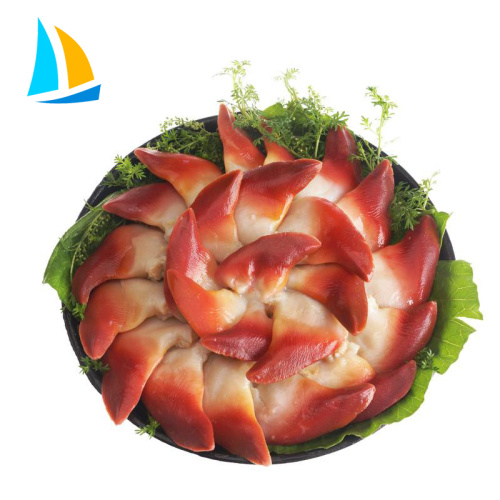 Arctic Surf Clam Hokkigai Suchmaschine