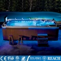 4.8 Meter Villa Swimming SPA Pool hot tub M-3370
