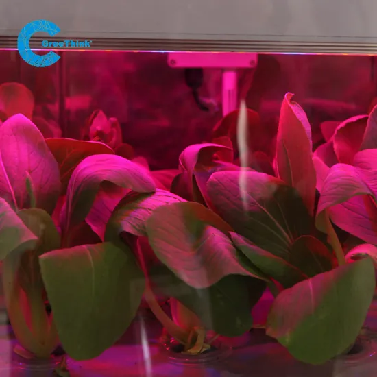 DC24V SMD 3528 Waterproof LED Grow Light Strip