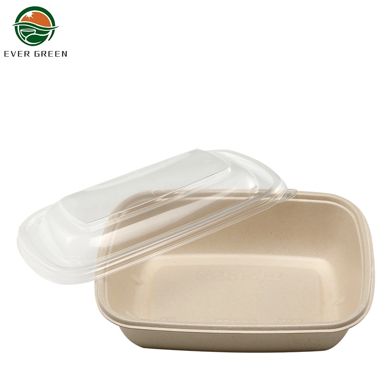 Eco Friendly Houseables Takeout Containers/ to Go Box Restaurant