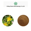 Forsythia Fruit Extract Powder 2%-5% Phillyrin