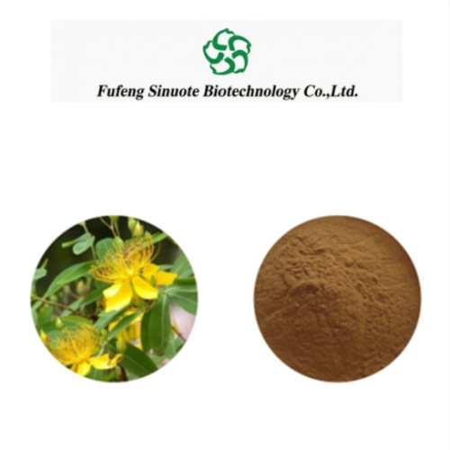 Forsythia Fruit Extract Powder 2%-5% Phillyrin