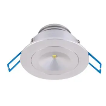 AC85~265V Ceiling Light