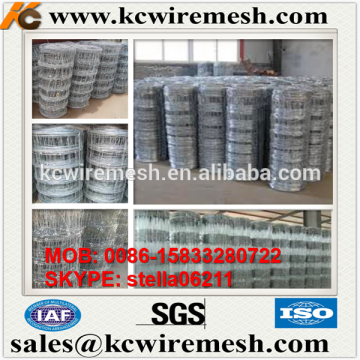 Factory!!!!! Here!!!! KangChen high quality 15cm*15cm Galvanized sheep or deer wire mesh fence field