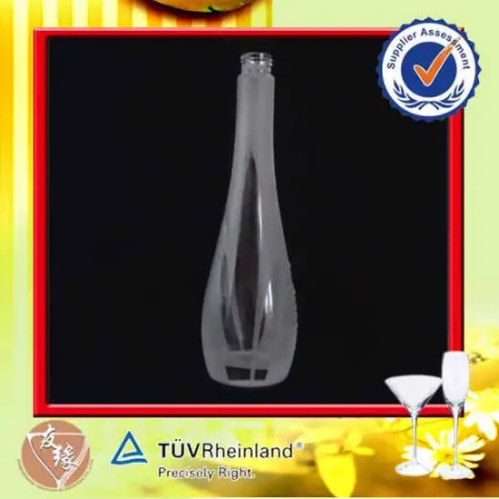 Custom Design Frost Glass Shampoo Bottle 300ml