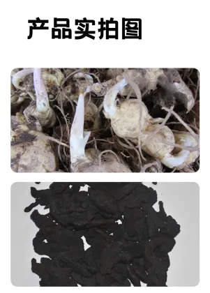 Organic Polygonatum Herbal Tea in Convenient Bags