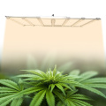 Full Spectrum Led Grow Light For Greenhouse