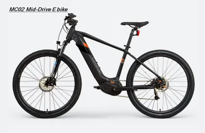 Customized Specialized Electric Mountain Bike