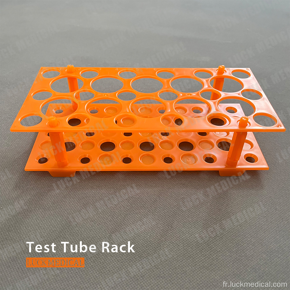 Rack de tube à essai scientifique Globe