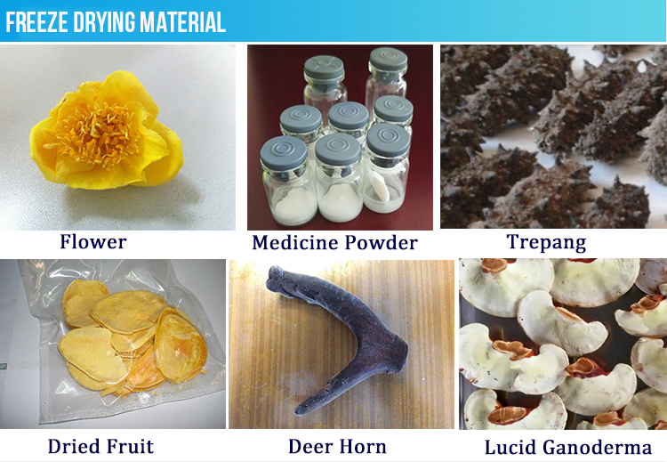 mushroom lyophilization machine