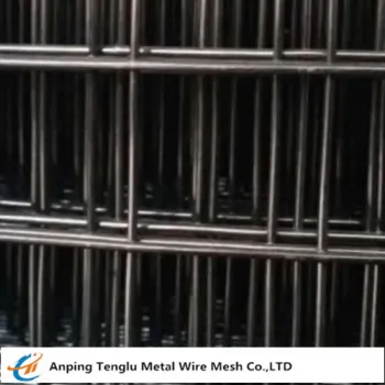 Black Welded Wire Mesh