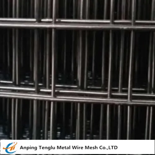 Black Welded Wire Mesh