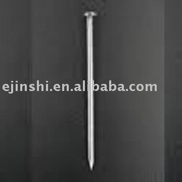 Polished common nail
