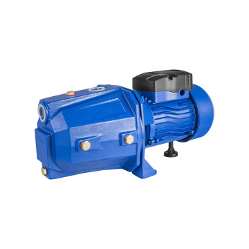INTOUGH High-Quality 750W/1HP 50L/Min 1 Inch OEM Water Pump for Agricultural Irrigation
