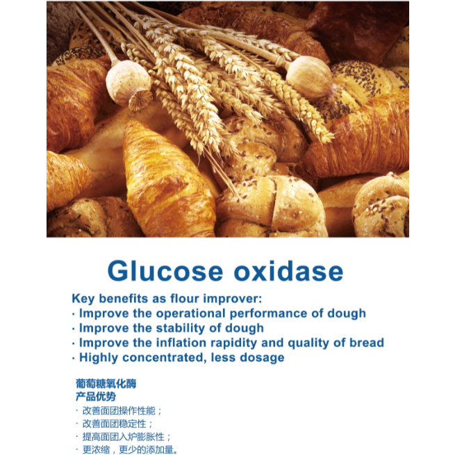 إنزيم أوكسيديز الجلوكوز من الدرجة الغذائية لإنزيمات الخبز