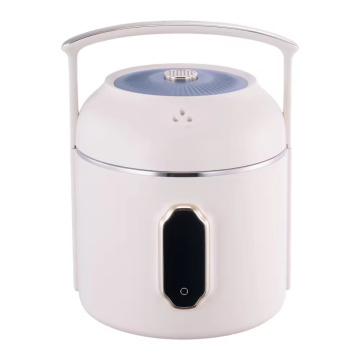 Stainless steel ceramic stew pot