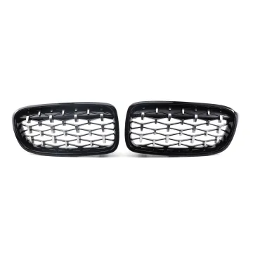 BMW 3 Series F30 2012-2019 Car Front Bumper Grille - Gypsophila Style