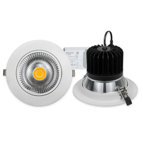 230V Recessed Mounted Smart LED Downlight with Moving Head
