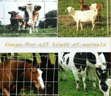 Austrialia hot sale grassland fence/cattle fence/cattle mesh
