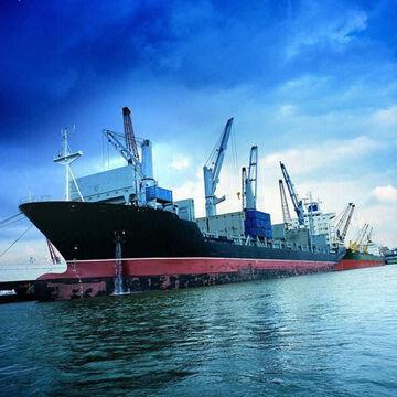 Reefer 20ft Container Shipping