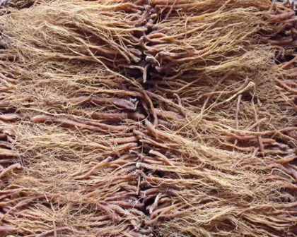 Red Ginseng Extract Powder Health Care Natural