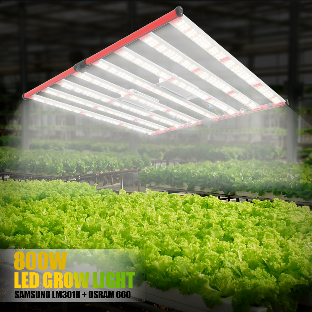 İç Mekan Kullanımı LED 800W Grow Hafif Hidroponik Bahçe