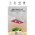 1000W Cob LED ينمو الضوء