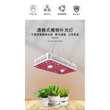 1000W Cob LED ينمو الضوء