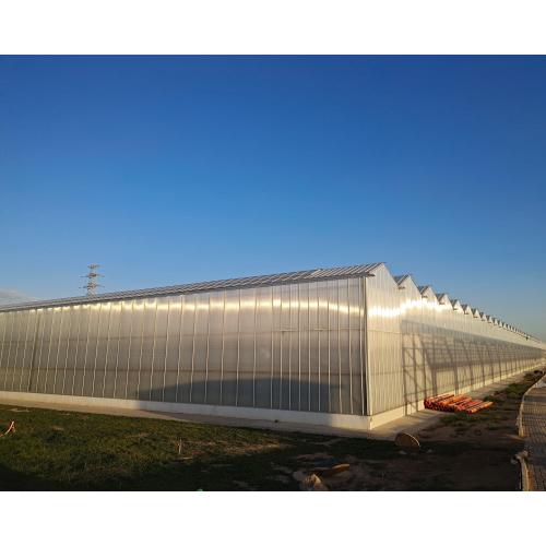 Aluminum Gutter Polycarbonate Greenhouse