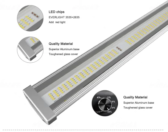 640 Watt COB LED Grow Light: Enhancing Indoor Plant Growth with Horticultural Illumination