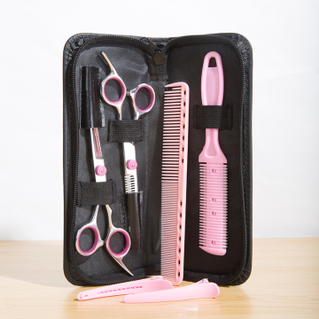 Professional Salon Hair Cutting Scissors and Thinning Shears Set