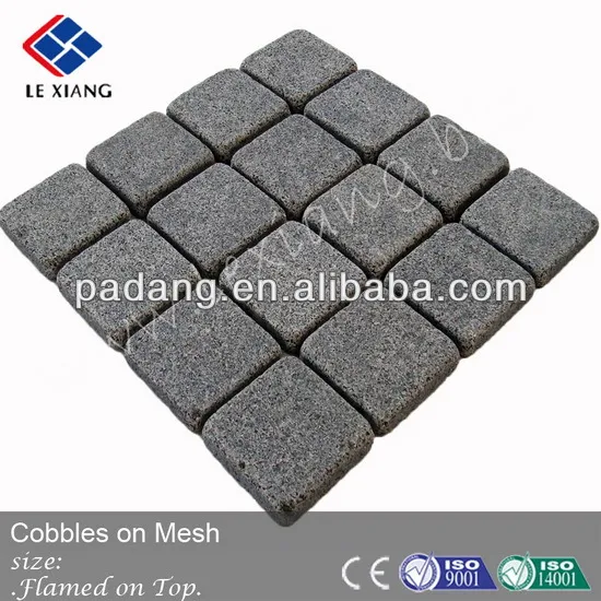 Dark granite paving stone