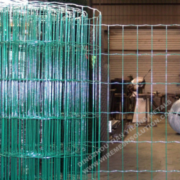 Green Coated Welded Holland Wire Mesh