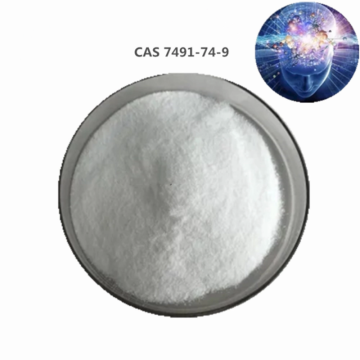 Nootrops Piracetam CAS 7491-74-9