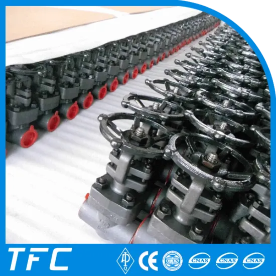 solid wedge API 602 gate valve