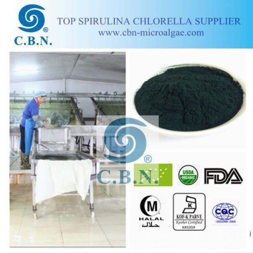 Vitamins and health food supplement spirulina powder