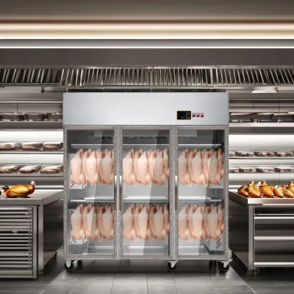 Intelligent Dehumidification Fridge for Roast Duck and Roast Goose