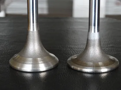 Used for YANMAR Engines Engine Valve