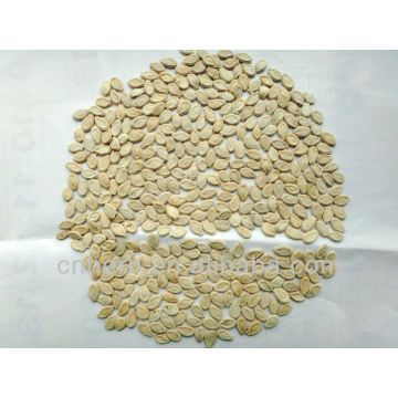 Dried Wax gourd seed,Winter melon seeds,Semen benincasae,Benincasa pruriens,Benincasa hispida,White,Ash,Waxgourd,Chinese,Donggua