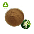 Tilia Europaea Flower Linden Extract Powder