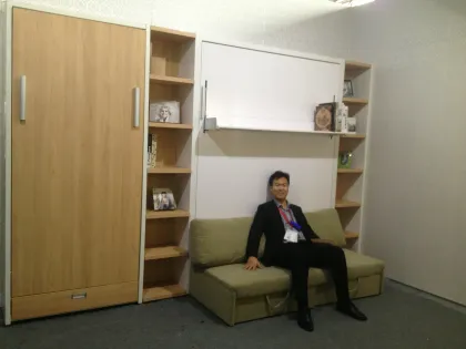 Folding wall bed with sofa