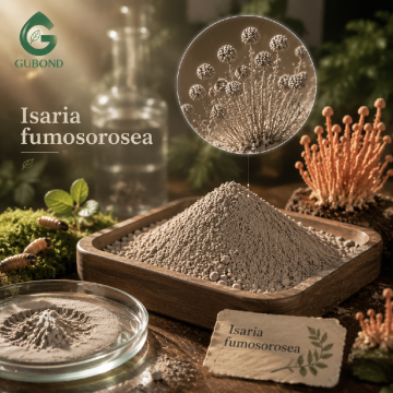 Isaria Fumosorosea Entomopathogenic Fungal Ingredient