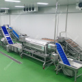 Continuous Potato Peeling Line Peeling and Washing Machine